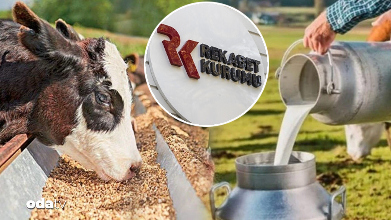 39 sut sanayicisine sut karsiligi yem sorusturmasi c93mT797