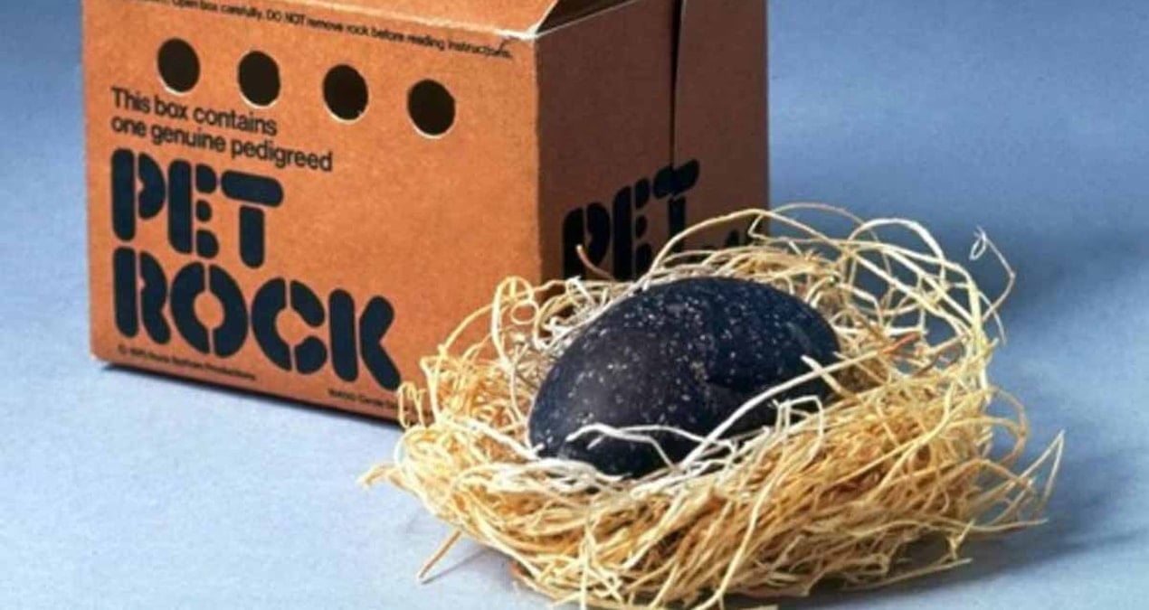 her sey bir barda sakayla basladi bakim gerektirmeyen evcil hayvan fikri onu milyoner yapti JT6e9iAF