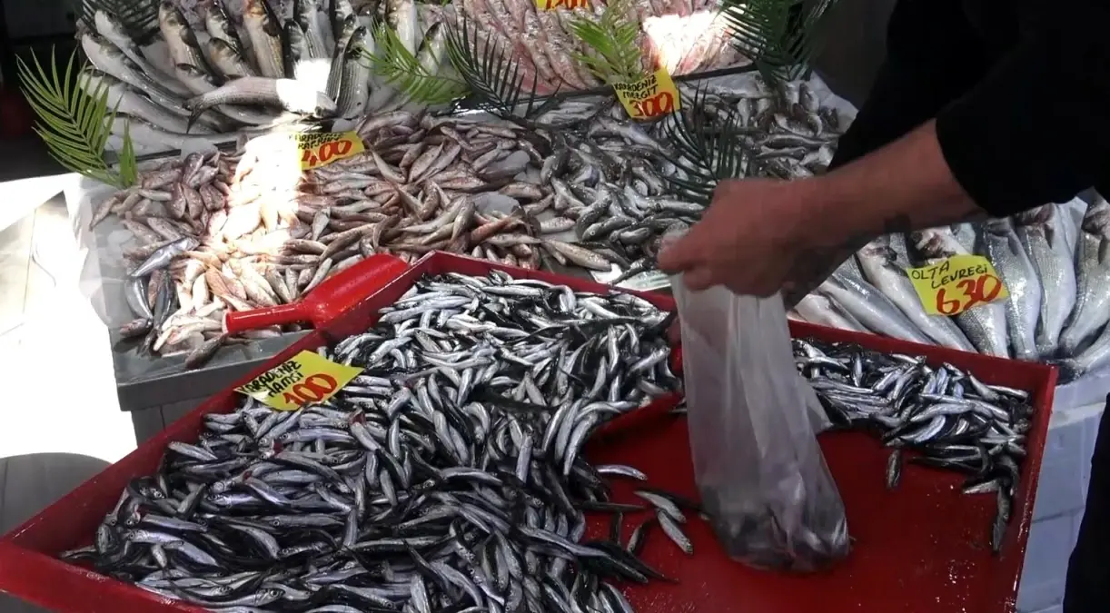 cankirida hamsi fiyatlari 100 liraya dustu j6sl4xsi.jpg