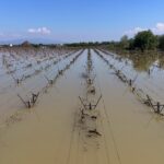 atlas-featured-12953-1775717885-WsrfeH