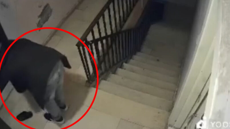 Tercan’da Yılsonu Şenliği Renkli Görüntülere Sahne Oldu