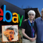 Ebay ve eski yoneticileri siber taciz ve fiziki takibin hedefi olan ciftle anlasmaya vardi rjsSyO8w