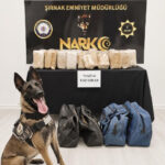 Sirnakta bir tirda 79 kilogram esrar bulundu y8gdHtDu